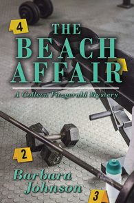 The Beach Affair by Barbara Johnson