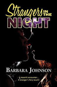 Strangers in the Night by Barbara Johnson