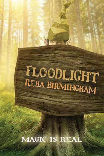 Floodlight by Reba Birmingham