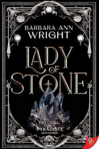 Lady of Stone by Barbara Ann Wright