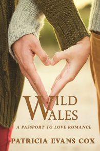 Wild Wales by Patricia Evans Cox