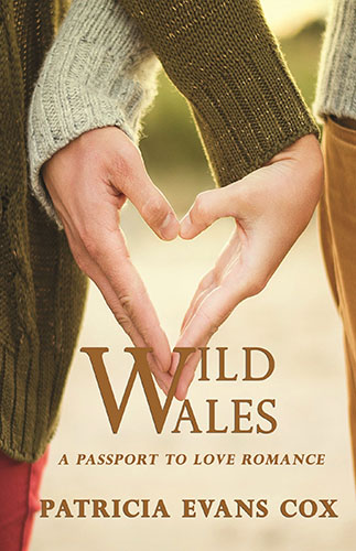 Wild Wales by Patricia Evans Cox