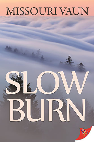 Slow Burn by Missouri Vaun
