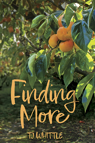 Finding More by TJ Whittle