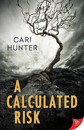 A Calculated Risk by Cari Hunter