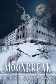 Moonbreak by Lise MacTague